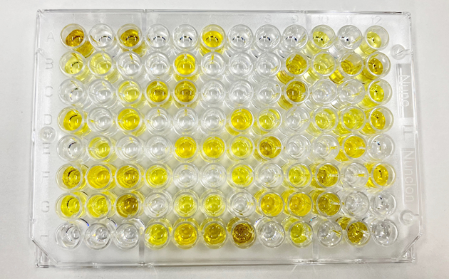 96ウェルプレート