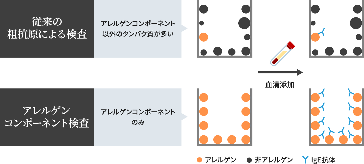 粗抗原による検査とアレルゲンコンポーネント検査